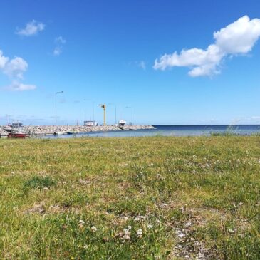 Eesti esimene 21.06.1